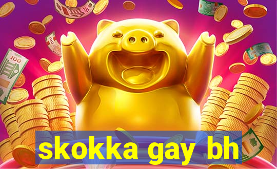 skokka gay bh